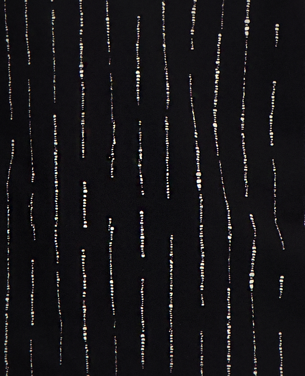 J6240_9.jpg
